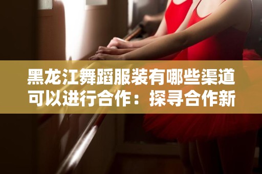 黑龙江舞蹈服装有哪些渠道可以进行合作：探寻合作新路径