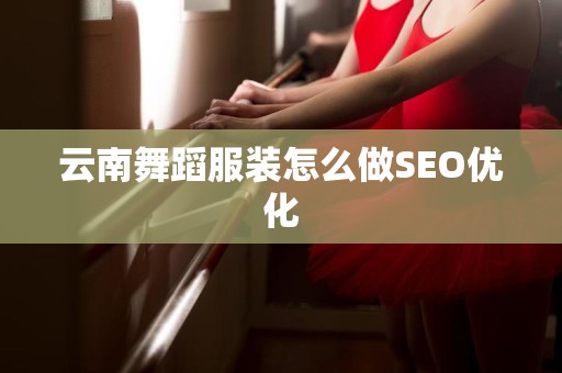 云南舞蹈服装怎么做SEO优化
