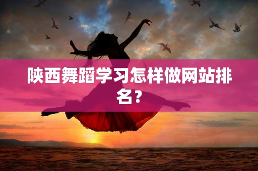 陕西舞蹈学习怎样做网站排名？